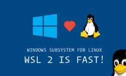 Featured image of post Windows下的原生Linux子系统WSL的安装与配置